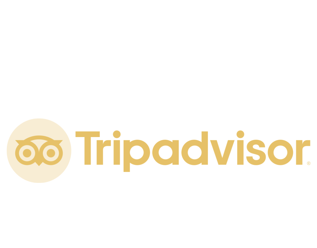 Tripadvisor Review