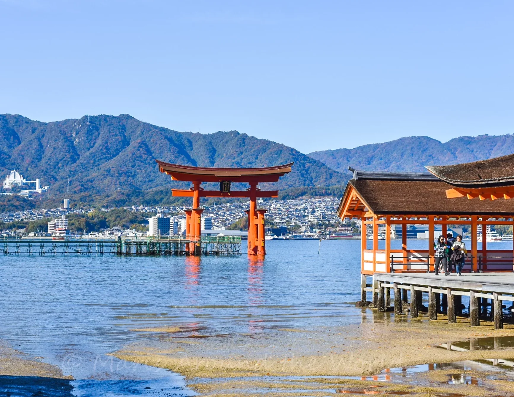 Itsukushima Shrine Luxperia