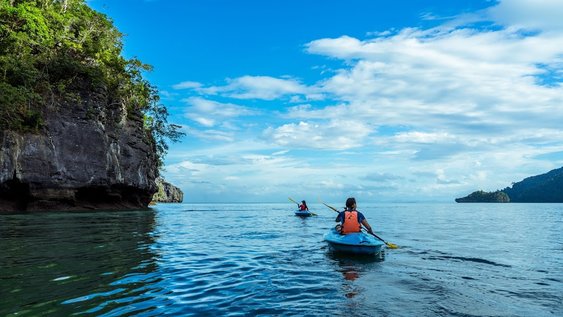 Mangrove Kayaking - Kuala Lumpur