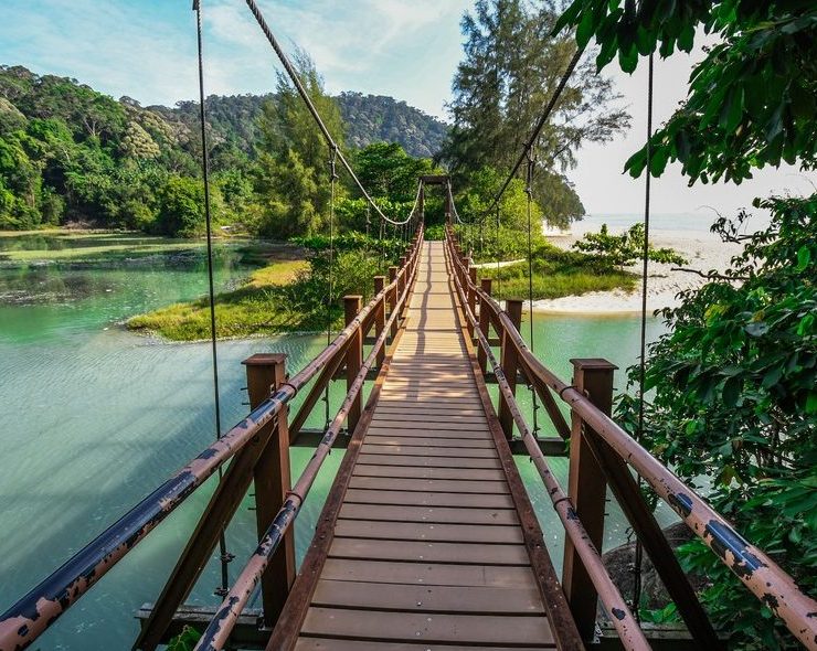 Penang National Park
