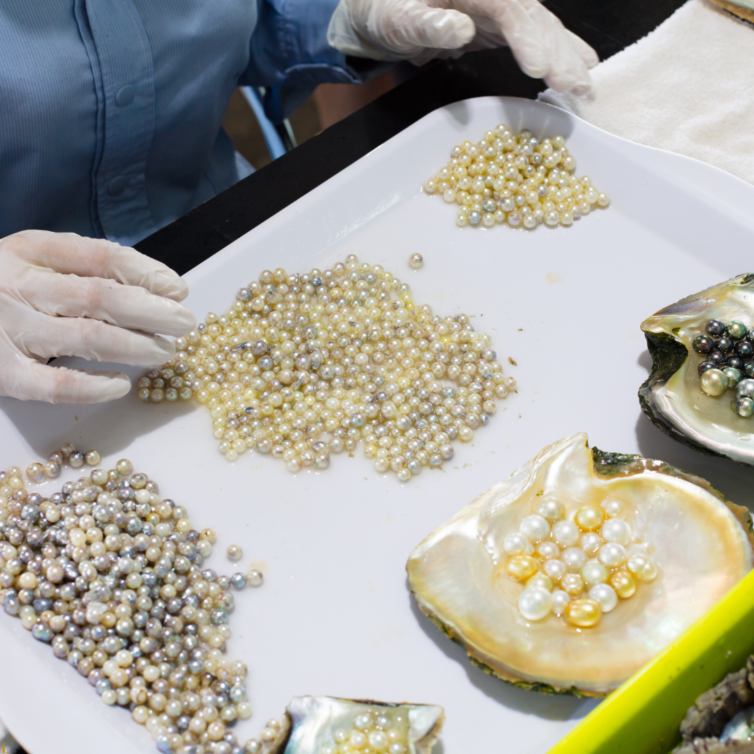 halong pearl farm- luxperia