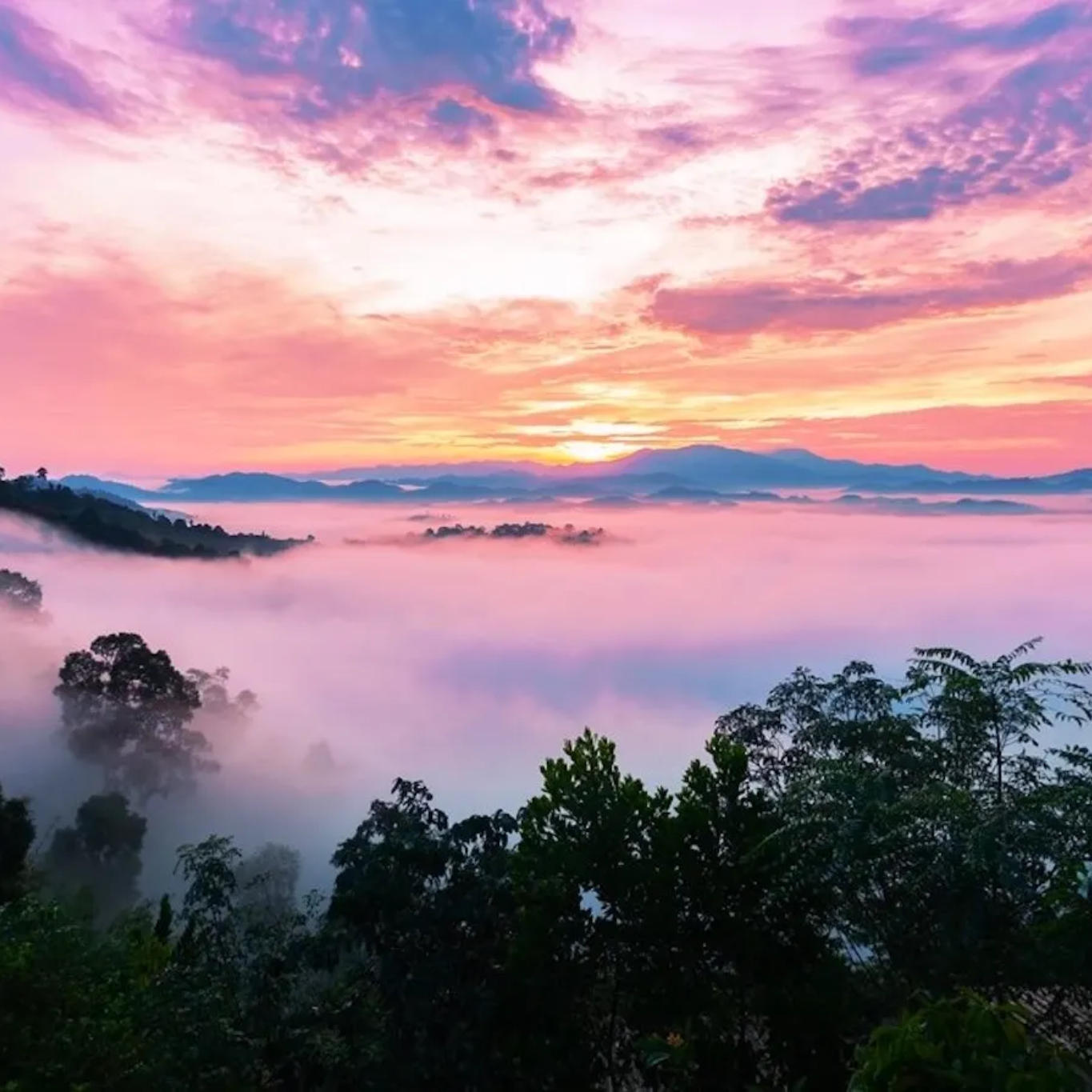 Khao Kai Nui