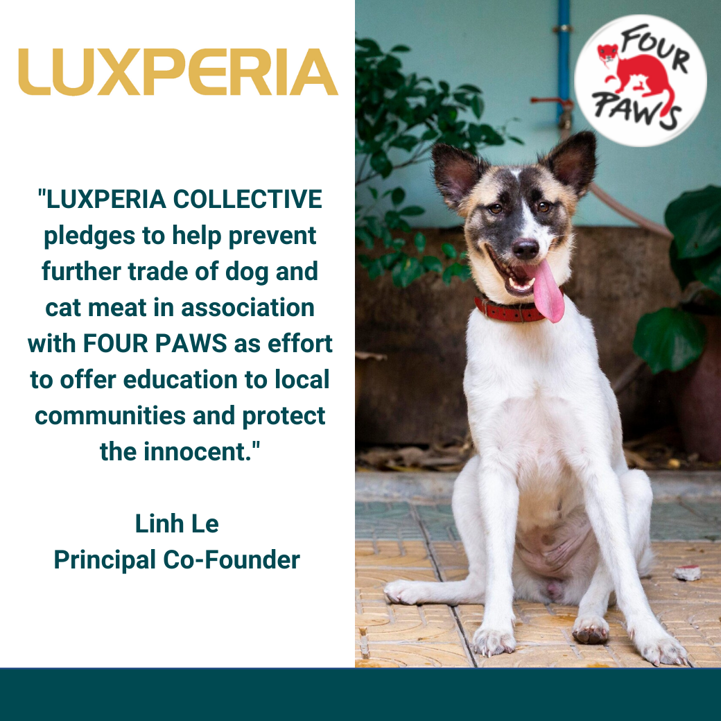 Luxperia Fourpaws