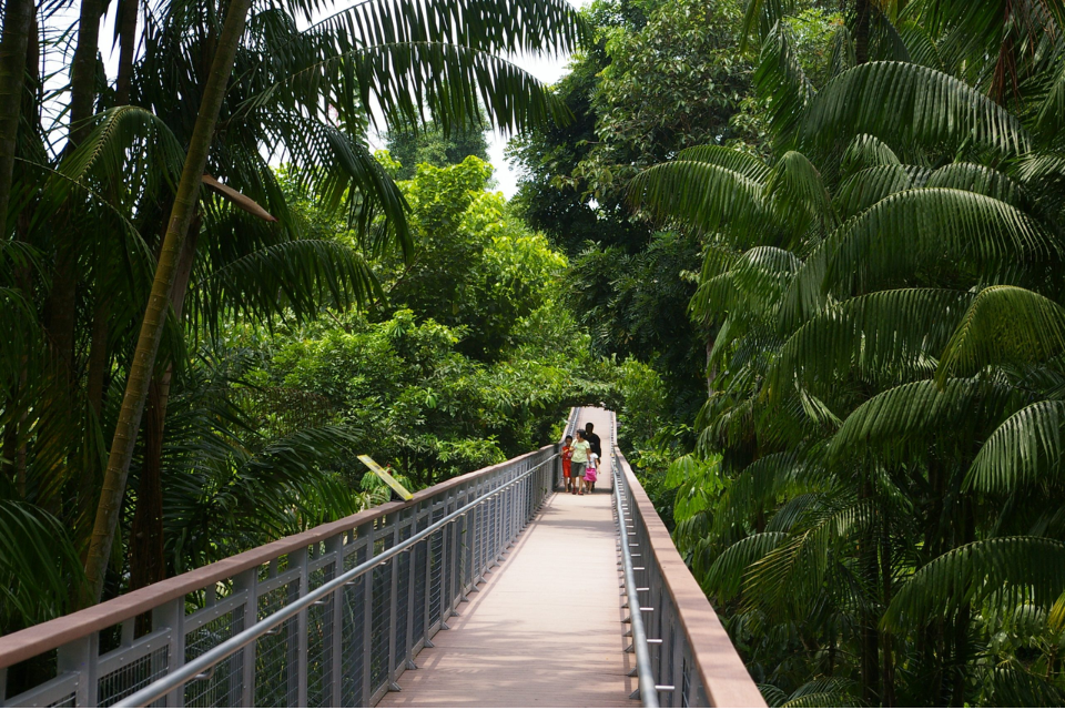 Sentosa Nature Discovery