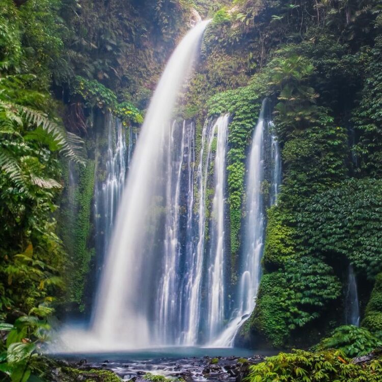 Tiu-Kelep-Waterfall-Lombok - 6 Waterfall in Lombok