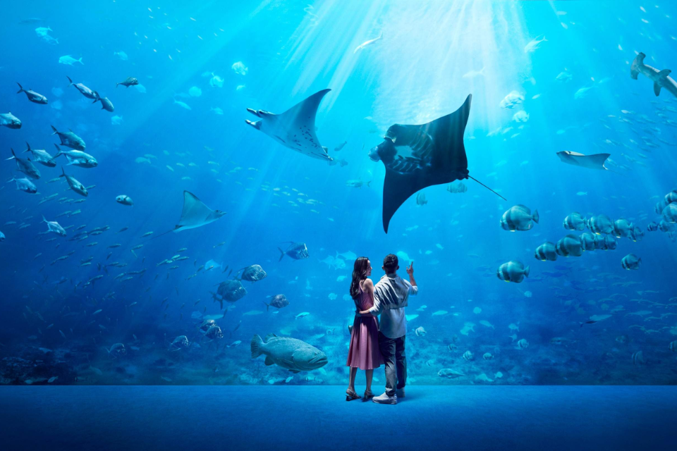 S.E.A. Aquarium